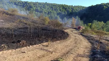 Bilecik Pazaryeri yangını büyümeden söndürüldü