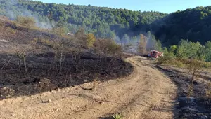 Bilecik Pazaryeri yangını büyümeden söndürüldü