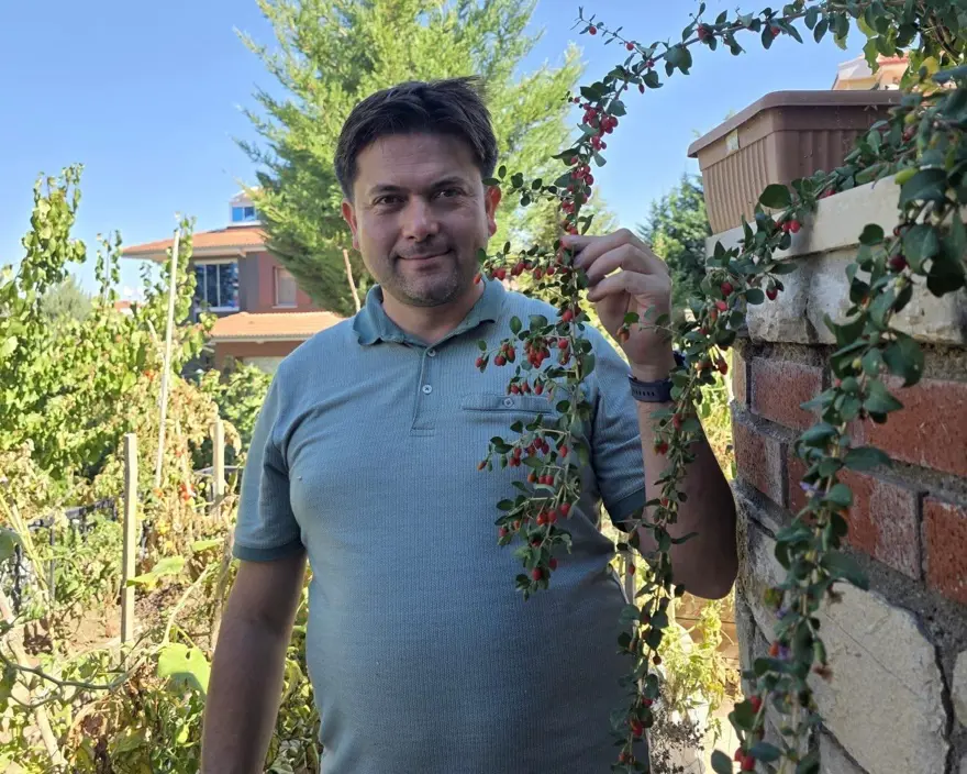 Doktor evinin bahçesinde yetiştirdi: 30 farklı ağaç ve 30'un üzerinde bitki Doktor evinin bahçesinde yetiştirdi: 30 farklı ağaç ve 30'un üzerinde bitki