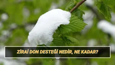 Zirai don desteği ne kadar, kimlere verilecek? Zirai don vuran iller hangileri?