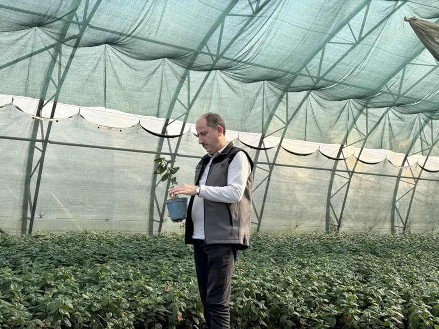 5 yıl önce kuruldu, 200 bin üretiliyor: En sağlıklısı yetiştiriliyor 1