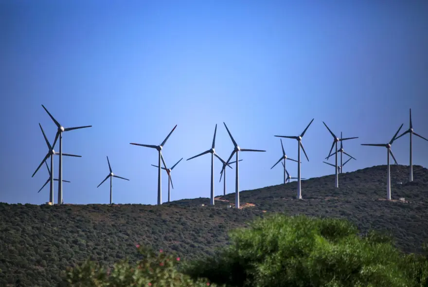 “Haydi! Yeşil Gelecekler” fotoğraf yarışmasının ödülleri açıklandı 15 “Haydi! Yeşil Gelecekler” fotoğraf yarışmasının ödülleri açıklandı 15