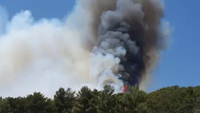 Uşak'ta orman yangınlarına müdahale ediliyor