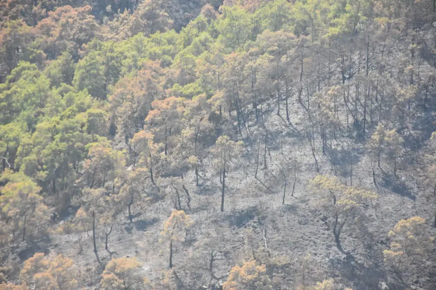 Kemer ilçesinde yanan alanlar havadan görüntülendi 3