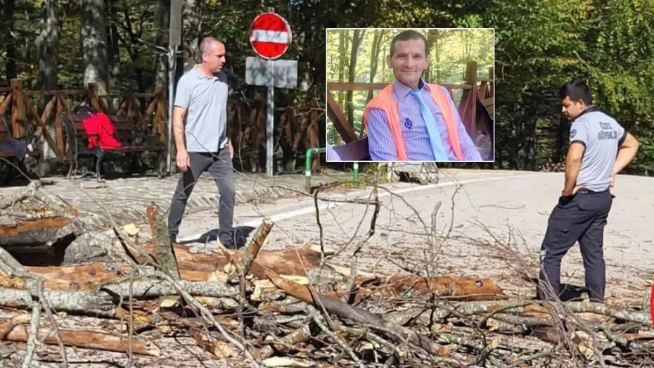 Üzerine ağaç devrilen temizlik işçisi hayata tutunamadı  