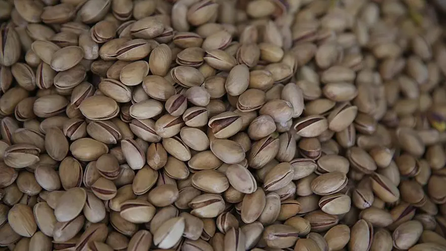 ANTEP FISTIĞI CEP YAKIYOR 2 ANTEP FISTIĞI CEP YAKIYOR 2