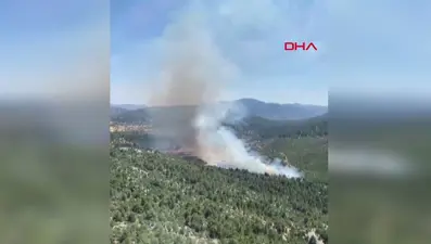 Antalya'da orman yangını: Alevlere havadan ve karadan müdahale