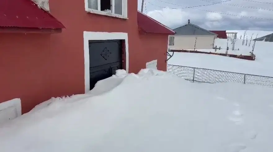 Gümüşhane'de ilginç olay: Ayılar ikinci kattaki eve pencereden girdi! 3