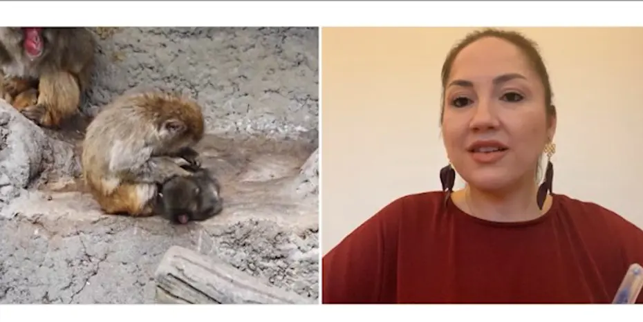 Punch'ın çaresizliği bizde neyi tetikledi? Uzman isim değerlendirdi