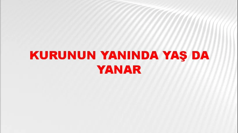 Kurunun yanında yaş da yanar Kurunun yanında yaş da yanar