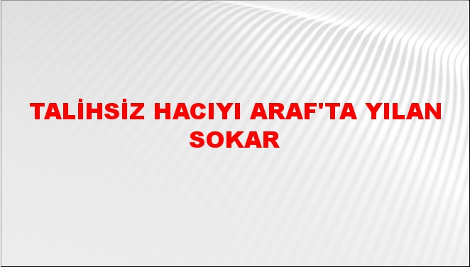 Talihsiz hacıyı araf'ta yılan sokar