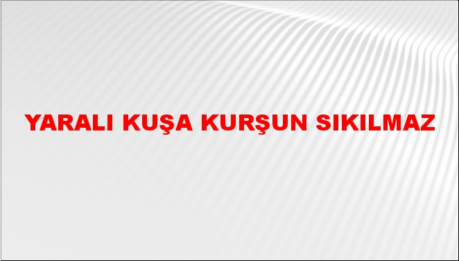 Yaralı kuşa kurşun sıkılmaz