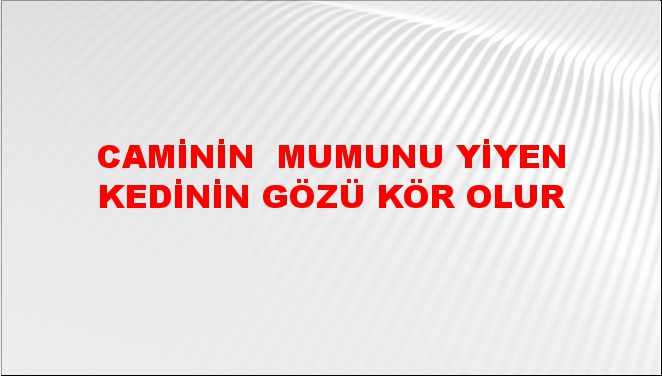 Caminin (mescidin) mumunu yiyen kedinin gözü kör olur
