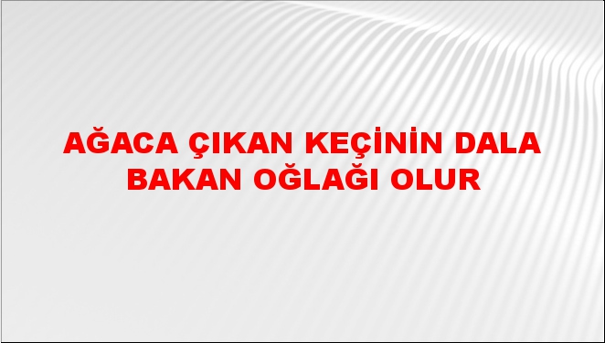 Ağaca çıkan keçinin dala bakan oğlağı olur