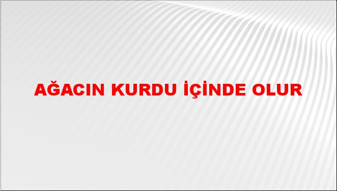 Ağacın kurdu içinde olur