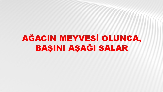 Ağacın meyvesi olunca, başını aşağı salar