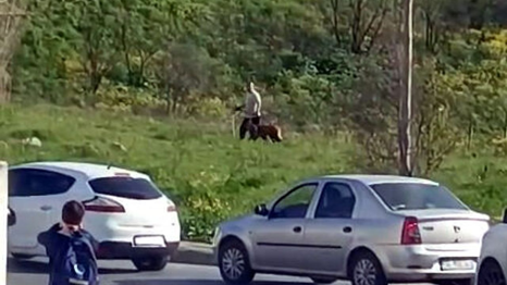 Avcılar'da köpeğe şiddet: Çevredekilerin tepkilerine aldırış etmedi