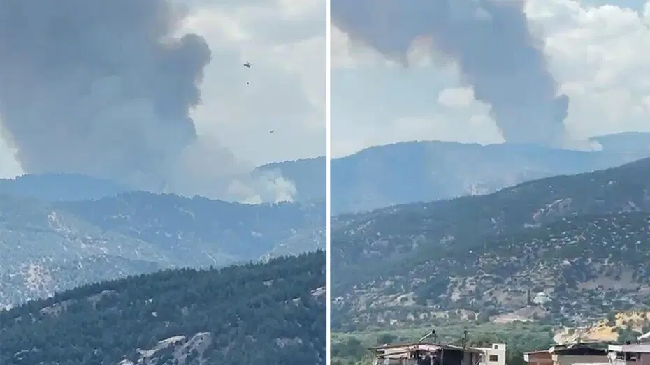 Aydın Kuyucak'ta orman yangını