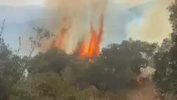 Aydın&#x27;da orman yangını kontrol altına alındı