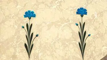 Suyun üzerindeki miras. Dünyada Türklerin sanatı olarak da biliniyor