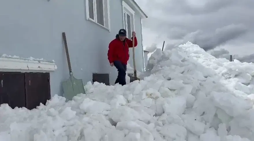 Gümüşhane'de ilginç olay: Ayılar ikinci kattaki eve pencereden girdi! 1