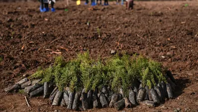Milli Ağaçlandırma Günü'nde rekor
