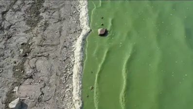 İstanbul'da tedirgin eden görüntü: Suyun rengi yeşile döndü