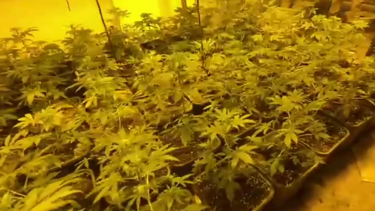 İklimlendirme sistemiyle uyuşturucu üretilen iş yerine operasyon