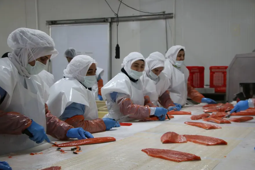 AVRUPA VE RUSYA'DAN SONRA JAPONYA VE ABD'YE İHRACAT 4