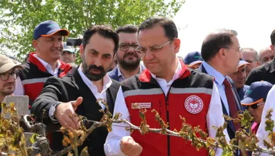 Manisa'da zirai donun faturası ağır: 36 bin 738 üretici zarar gördü