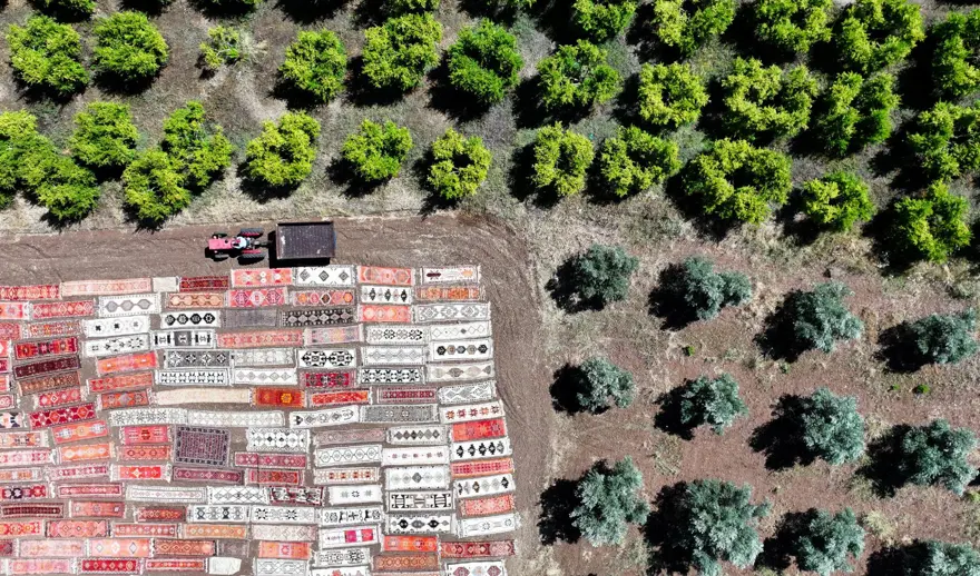 Antalya'da tarlalara serilen halılar görsel şölen sunuyor 8