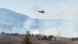 Uşak'taki orman yangını: İki kardeş tutuklandı