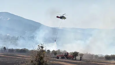 Uşak'taki orman yangını: İki kardeş tutuklandı