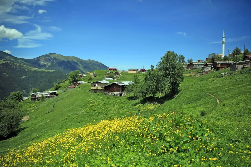 Corona virüs vakası görülmeyen yaylada yaşıyorlar 