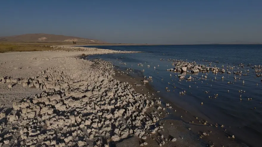 Van Gölü'nde endişelendiren görüntü 5 Van Gölü'nde endişelendiren görüntü 5