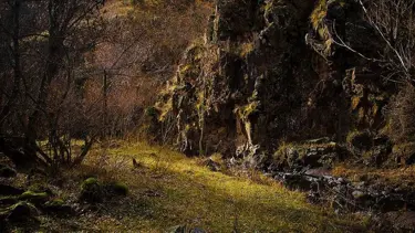 Erzurum'daki Karanlıkdere Kanyonu doğal güzelliğiyle dağcıların rotasında
