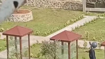 Sürmene'de Bıçak Tanıtım Parkı'na balyozlu saldırı