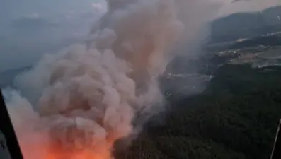 Manisa'daki orman yangını kontrol altında