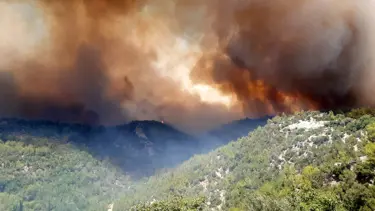 İstanbul Üniversitesi'nden orman yangınları raporu: 'Kasıt' ve 'sabotaj' ihtimaline dikkat çekildi