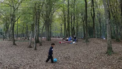 Belgrad Ormanı için anket: Vatandaş ceza istedi