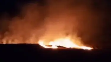 Tekirdağ'da 20 dekar buğday ekili alan kül oldu