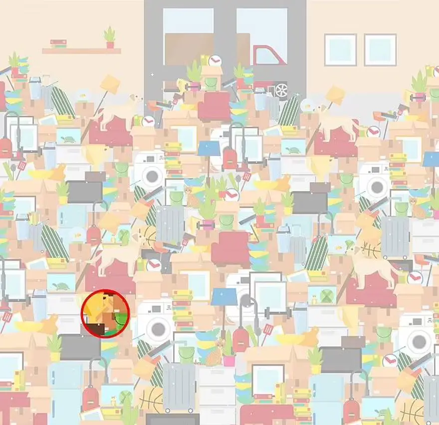 CEVAPLAR 35 CEVAPLAR 35