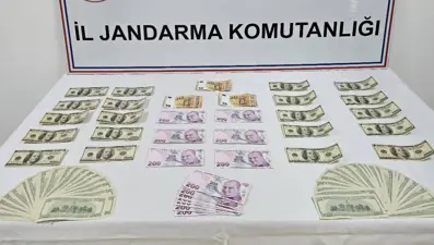 Ağrı'da sahte para operasyonu