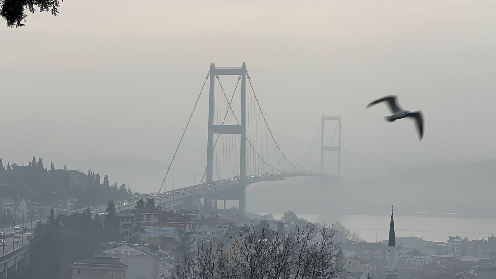 İstanbul'da yoğun sis: Boğaz'da gemi trafiği durduruldu
