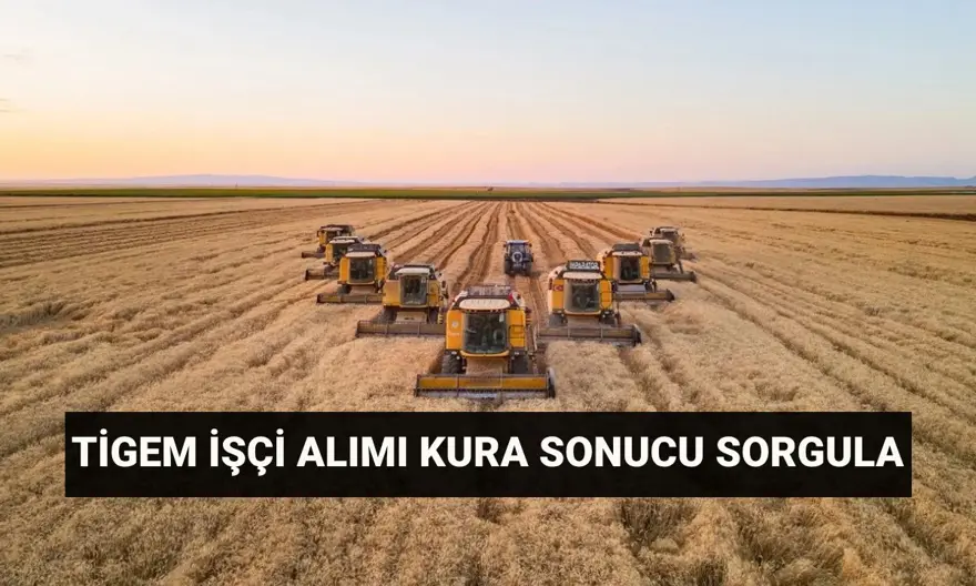 TİGEM kura sonuçları isim listesi sorgulama: Tarım İşletmeleri Genel Müdürlüğü (TİGEM) 306 işçi alımı mülakatları ne zaman? 