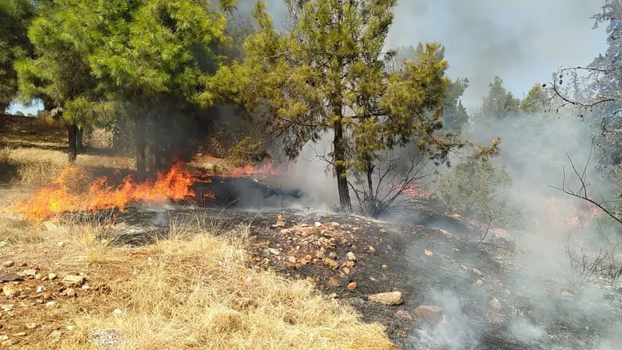 Hastane bahçesinde yangın paniği Hastane bahçesinde yangın paniği