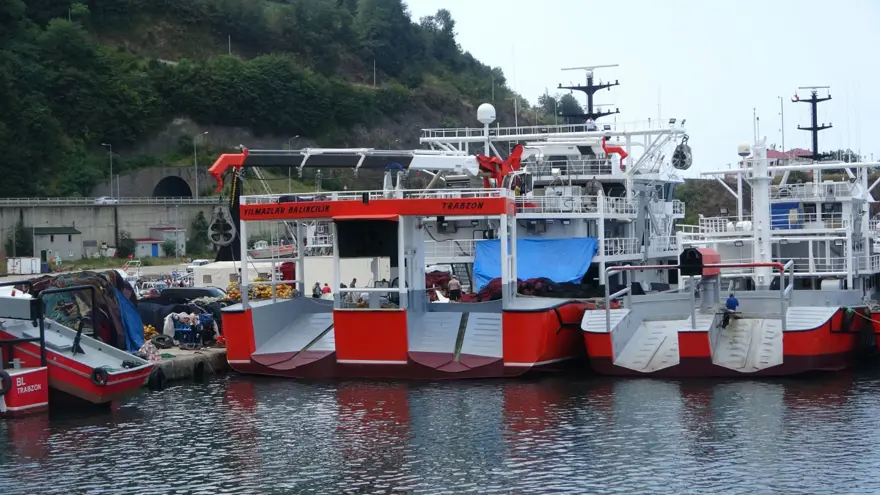 "VATANDAŞIMIZ UCUZ BALIK YİYECEK" 3