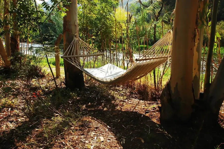 Ekolojik tatil, doğa tatili, Ataol Çiftliği, Avanos, bağ bozumu festivali, Bozcaada, doğal tatlar, Ekolojik, ekolojik tatil noktaları, Ekolojik Tatil Rotaları, Ekolojik yaşam, Fethiye, Hızır Kamp, Kapadokya, Kapor Organik Çiftlik Evi, Kaz Dağları, Kocaeli Kandıra, Narköy, organik tarım, organik tarım çiftliği, Pastoral Vadi, şehir hayatı, sürdürülebilir turizm merkezi, Tatil, Tatil Rotaları, Tekirbahçe, turistik yerler, Türkiye ekolojik tatil yerleri, Türkiye’nin Ekolojik Tatil Rotaları, Yanıklar Köyü, Zeytinli Çayı 13