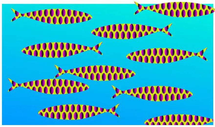 Sosyal medyanın gündemindeki optik illüzyonun sırrı çözüldü 8