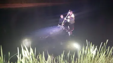 Van'da 21 ton inci kefali ele geçirildi